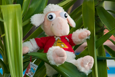 Example content image: left-align